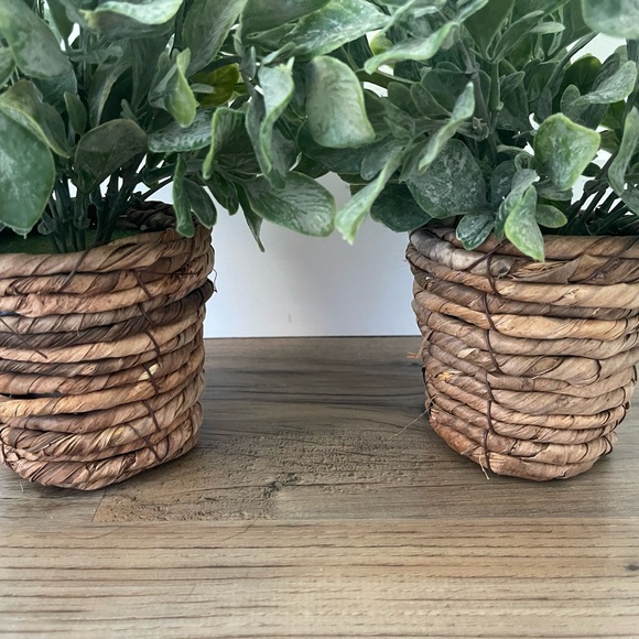 2 Faux Plants - Picture 2 of 5